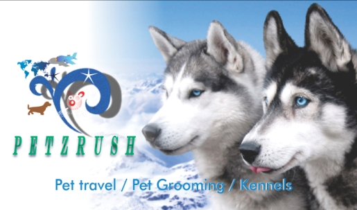 How much does it cost to ship a dog