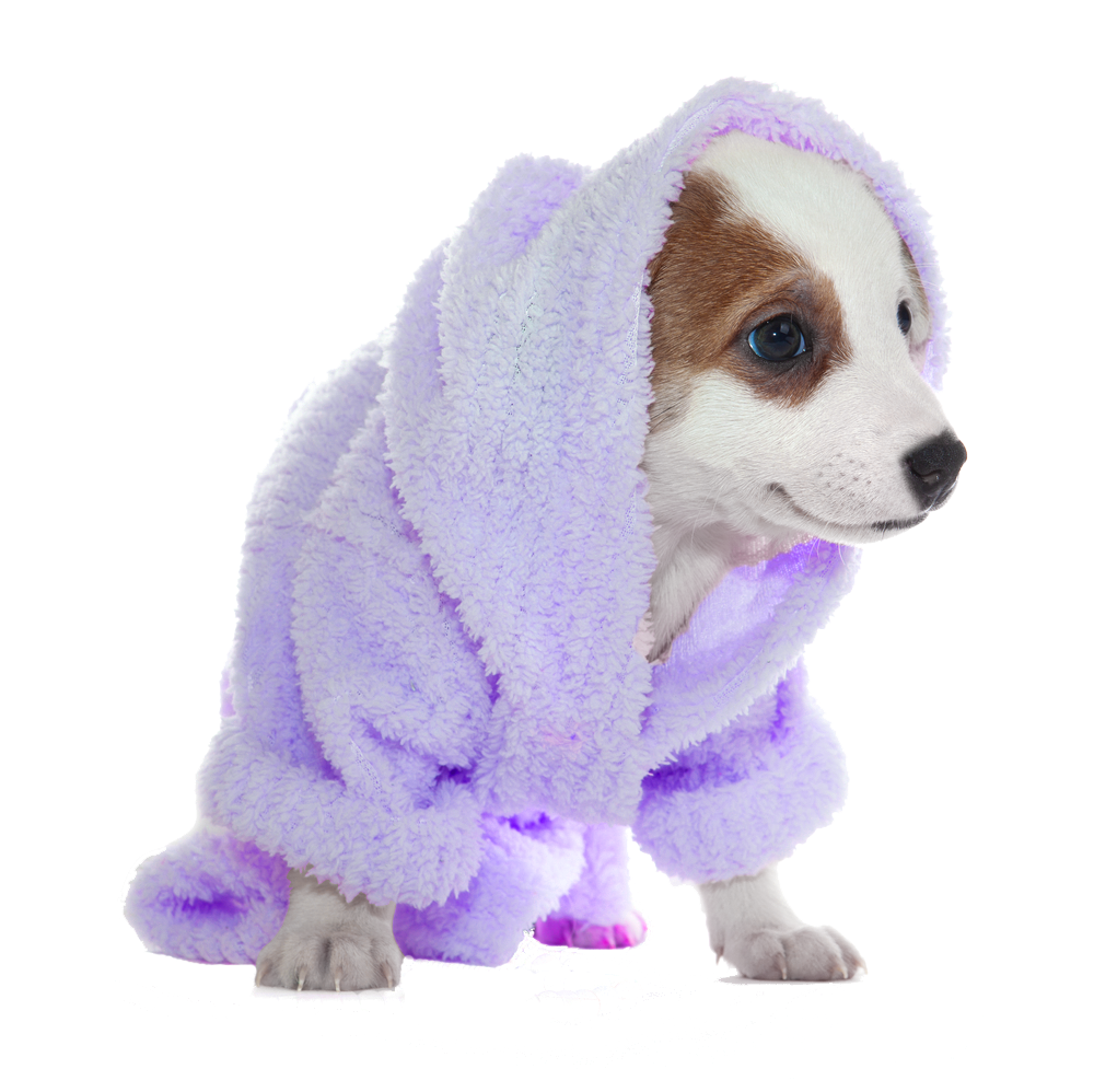 Pet grooming