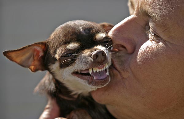 True love from my pet