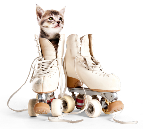 voyage petits animaux2 7 0 0